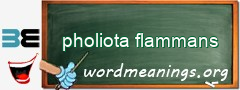 WordMeaning blackboard for pholiota flammans